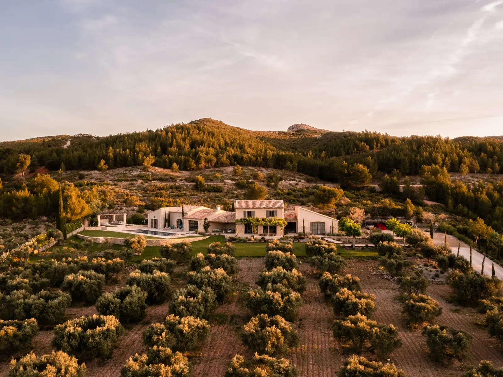 Les collines des Alpilles au couchant
