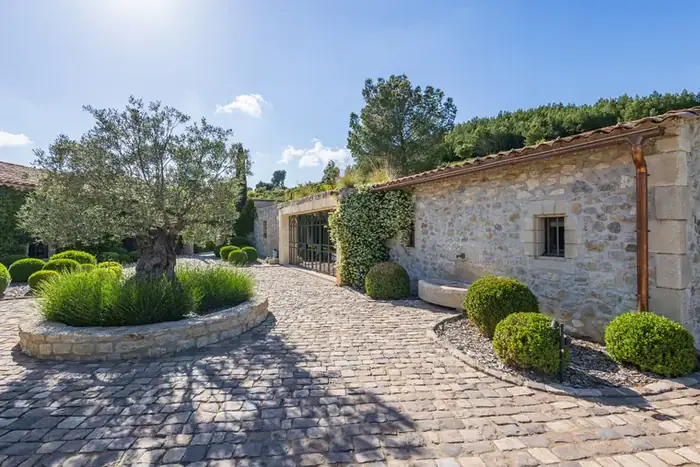 La cour pavée, son olivier et la fontaine